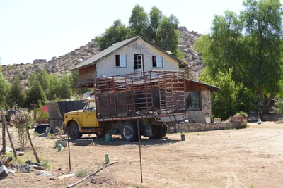 ENSC00294.jpg